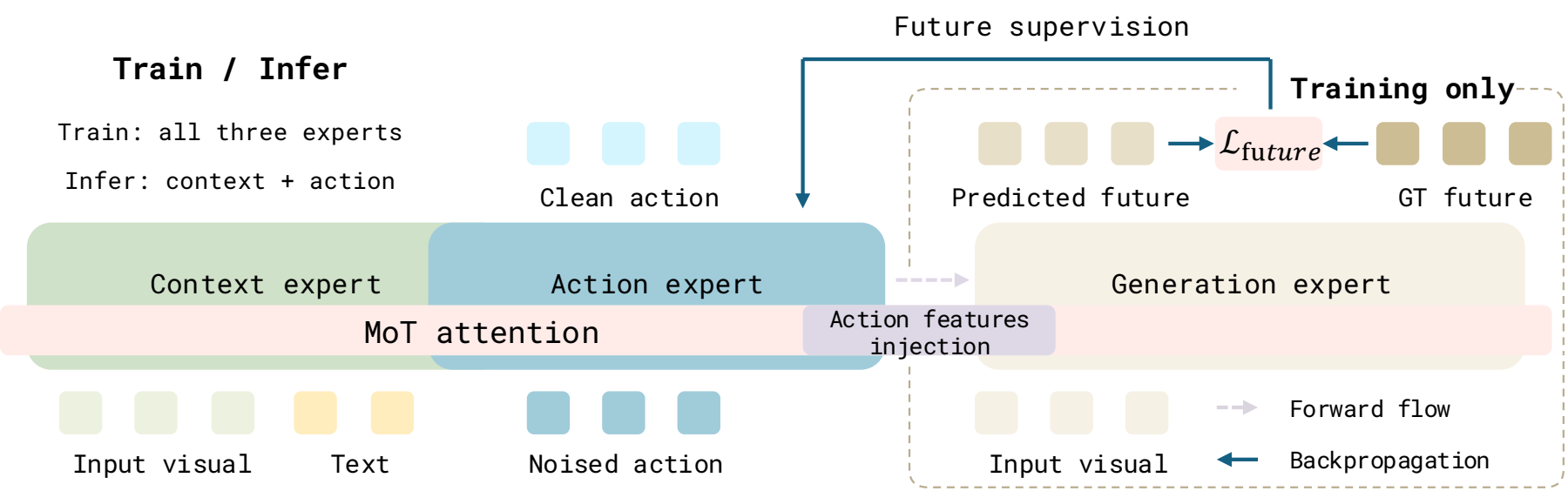 FDM pipeline: future prediction supervises action features during training, while inference skips future generation